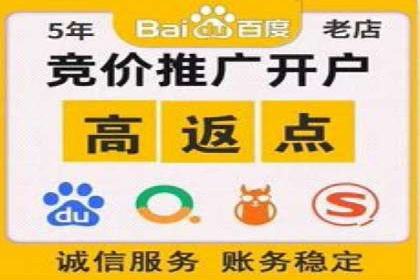 互联网公司SEM代运营成功案例剖析
